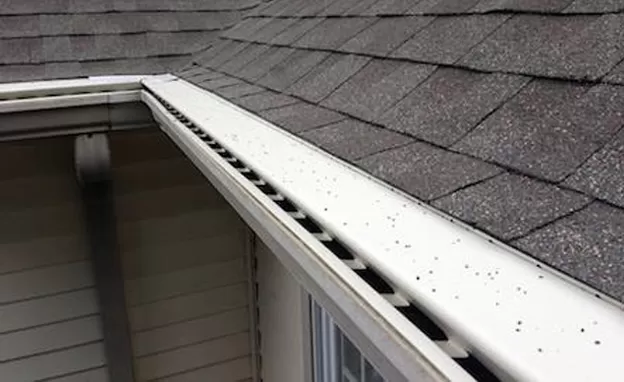 Gutter Guards